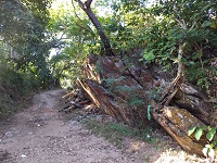Via Sacra Goiás - Entrada